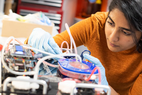 Human Physiology Lab