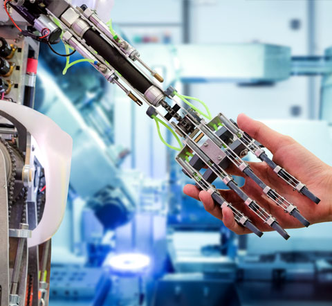 Learning Beyond Curriculum